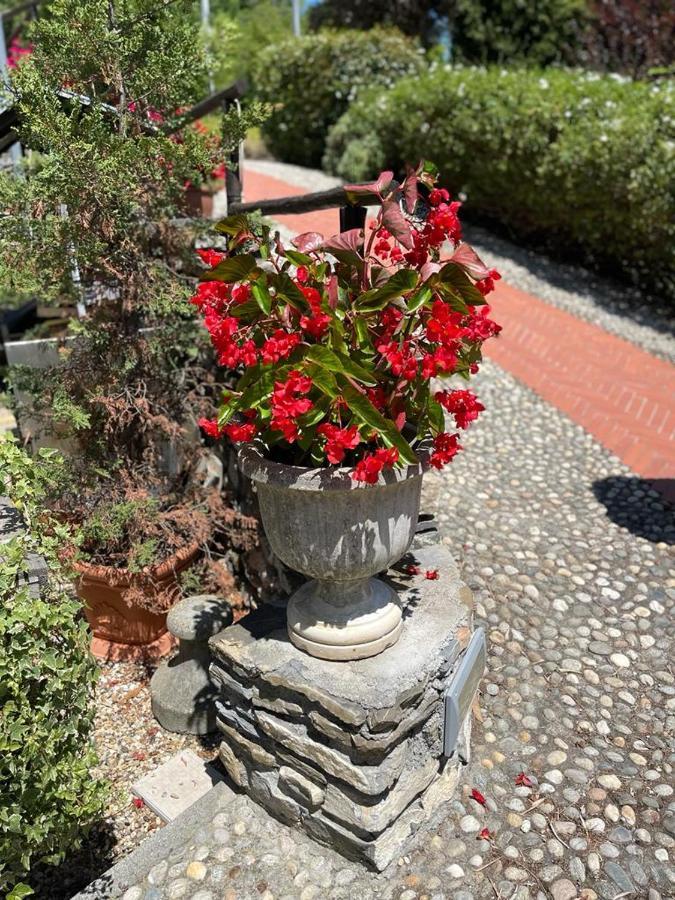 Agriturismo A Canonica Garlenda Kültér fotó