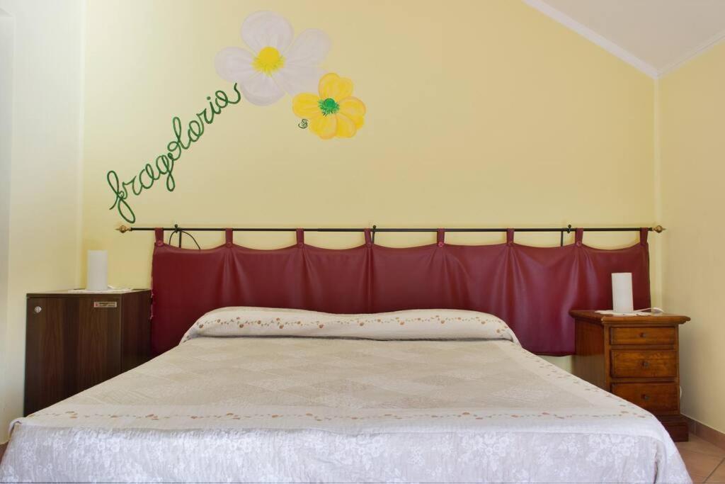 Agriturismo A Canonica Garlenda Kültér fotó