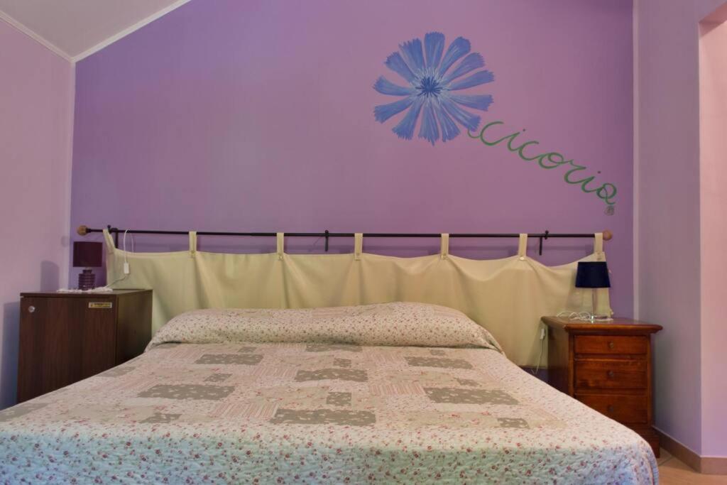 Agriturismo A Canonica Garlenda Kültér fotó